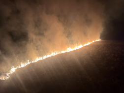 Marcal parton égett a nádas