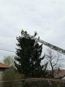 Deborah-val csaptak össze Vas Vármegye tűzoltói a hét második felében.