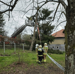 Deborah-val csaptak össze Vas Vármegye tűzoltói a hét második felében.