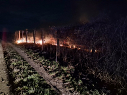 Szabadtéren keletkezett tűz Csepregnél