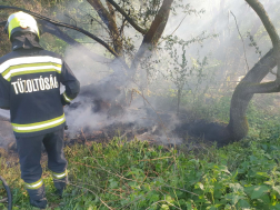 Szabadtéren keletkezett tűz Szombathelyen