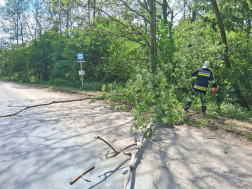Viharkár