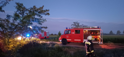 Bokros, cserjés terület égett Zsirán