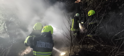 Bokros, cserjés terület égett Zsirán