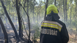 Gabonatábla tűzesetek