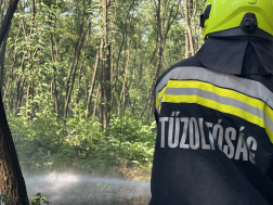 Gabonatábla tűzesetek