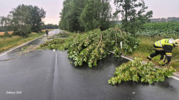 Viharkárok