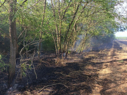 Tizenöt hektáron küzdöttek a lángokkal Ostffyasszonyfánál