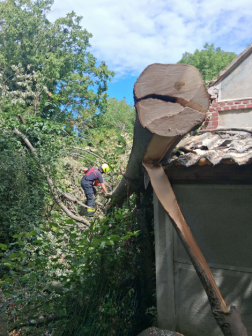 Faág esett melléképületre Bőben