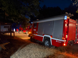 Száraz aljnövényzet tüze a kőszegi bükkös erdő