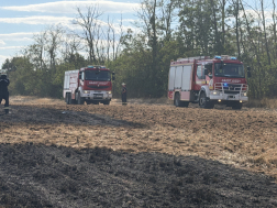 Több mint 22 hektár kaszáló égett le Káldnál